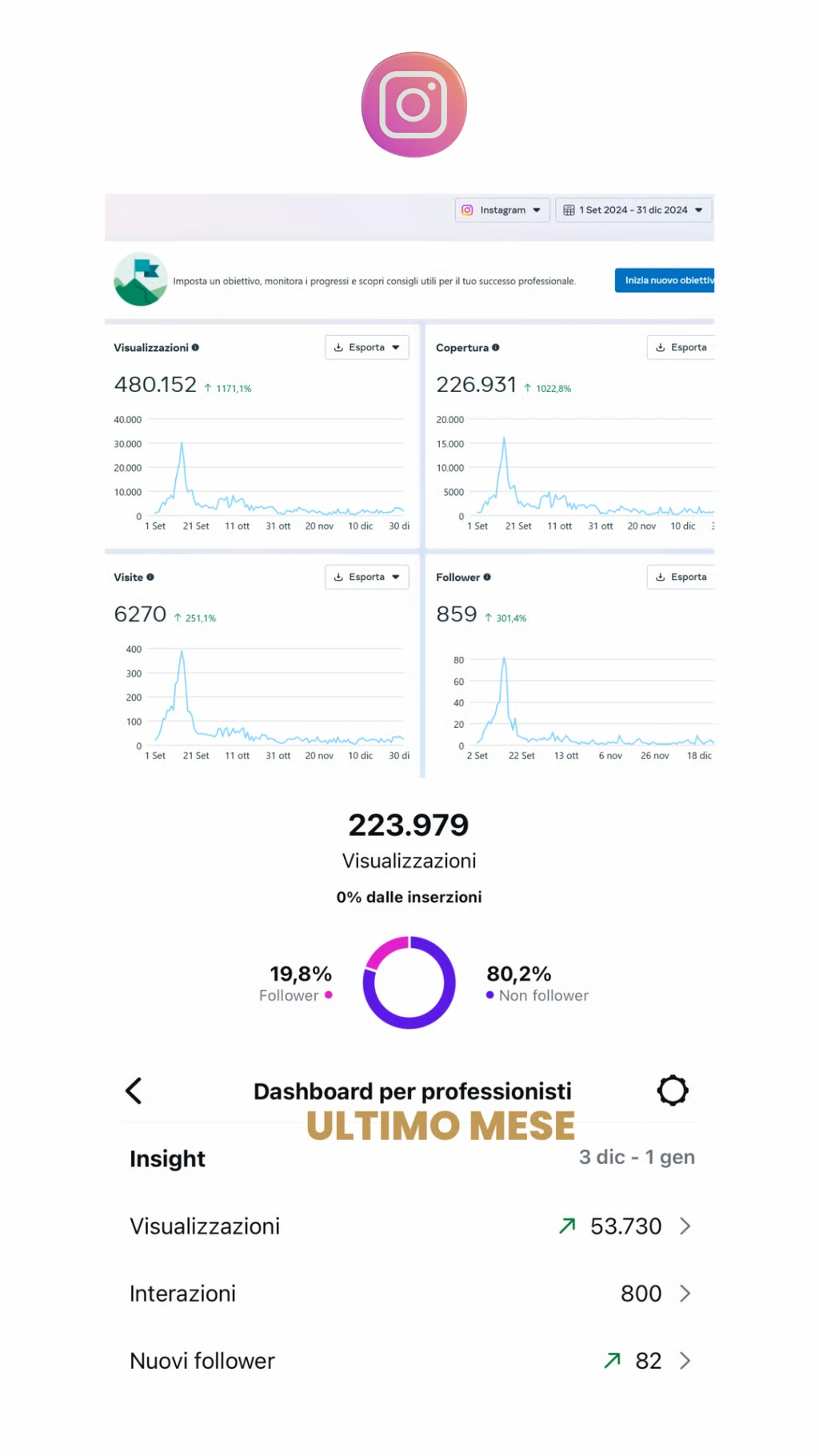 Immagini con statistiche Instagram